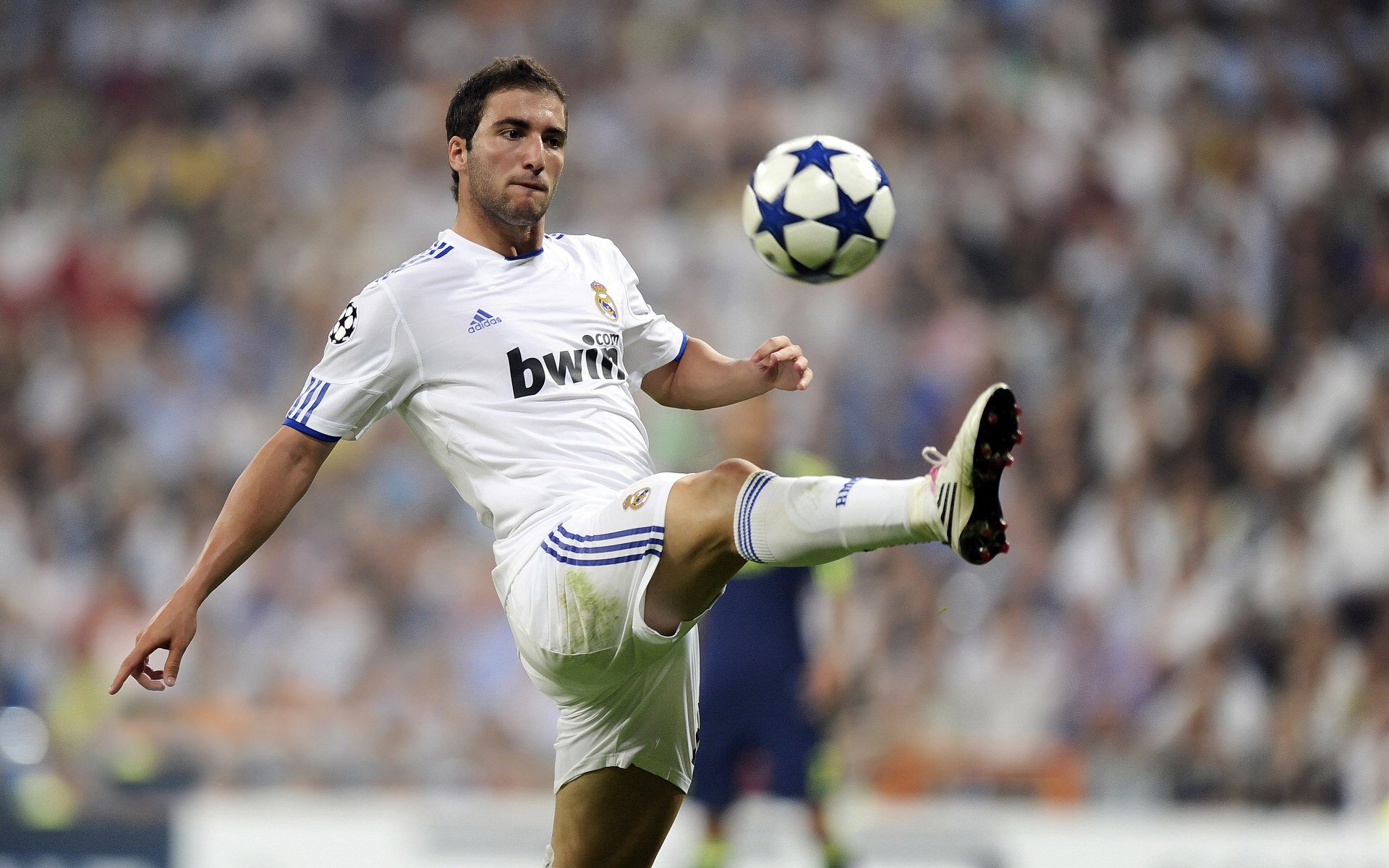 米兰体育网页版(官方}-德甲俱乐部数字会员制度建设与粉丝黏性提升，德甲俱乐部是会员制的吗