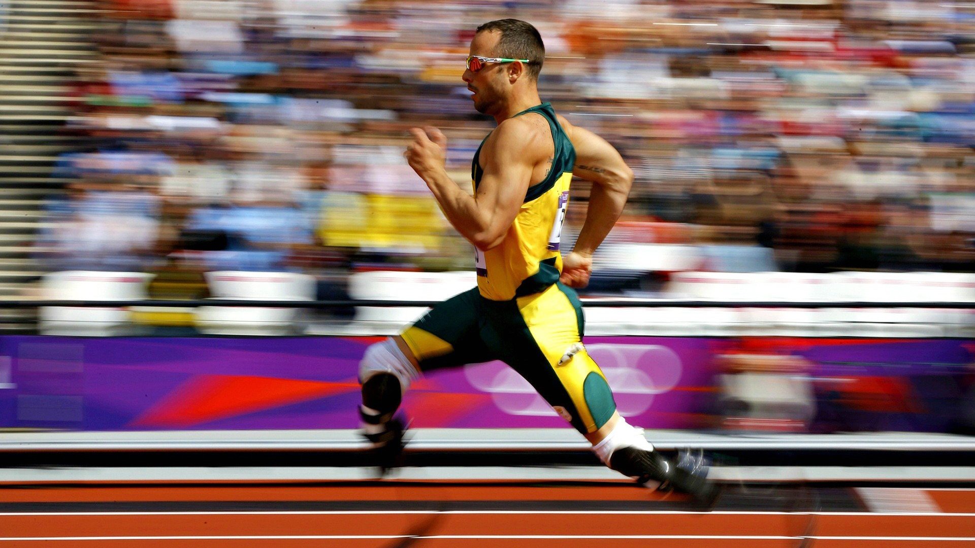 体育赛事安全与管理